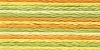 Picture of 1304 - Anchor Stranded Multi Colour Cotton 8m Skein