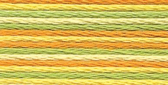 Picture of 1304 - Anchor Stranded Multi Colour Cotton 8m Skein