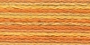 Picture of 1305 - Anchor Stranded Multi Colour Cotton 8m Skein