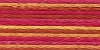 Picture of 1315 - Anchor Stranded Multi Colour Cotton 8m Skein