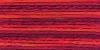 Picture of 1316 - Anchor Stranded Multi Colour Cotton 8m Skein
