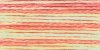 Picture of 1318 - Anchor Stranded Multi Colour Cotton 8m Skein