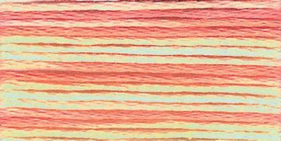 Picture of 1318 - Anchor Stranded Multi Colour Cotton 8m Skein