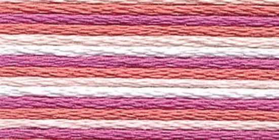 Picture of 1320 - Anchor Stranded Multi Colour Cotton 8m Skein