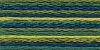 Picture of 1355 - Anchor Stranded Multi Colour Cotton 8m Skein