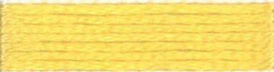 Picture of 295 - Anchor Stranded Cotton 8m Skein