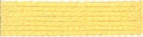 Picture of 301 - Anchor Stranded Cotton 8m Skein