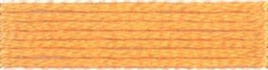 Picture of 313 - Anchor Stranded Cotton 8m Skein