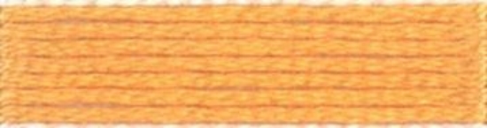 Picture of 313 - Anchor Stranded Cotton 8m Skein