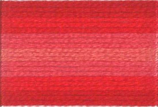 Picture of 1203 - Anchor Stranded Cotton 8m Skein
