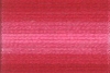 Picture of 1204 - Anchor Stranded Cotton 8m Skein