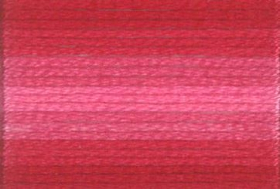 Picture of 1204 - Anchor Stranded Cotton 8m Skein