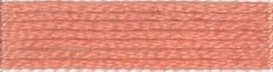 Picture of 9575 - Anchor Stranded Cotton 8m Skein