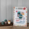 Picture of Owl Family Needle Felting Kit