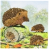 Picture of Happy Hedgehog , 18x18cm Crystal Art Card