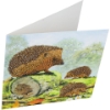 Picture of Happy Hedgehog , 18x18cm Crystal Art Card