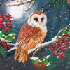 Picture of Barn Owl , 18x18cm Crystal Art Card