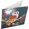 Picture of Barn Owl , 18x18cm Crystal Art Card