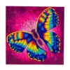 Picture of Change Butterfly , 18x18cm Crystal Art Card