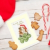 Picture of Twist And Sprout Christmas Card Cross Stitch Kit by Bothy Threads