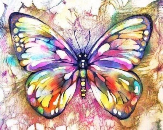 Picture of Butterfly and Colors Printed Cross Stitch Kit by Figured Art