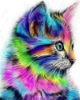Picture of Colorful Kitten Printed Cross Stitch Kit by Figured Art