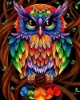 Picture of Colorful Owl Printed Cross Stitch Kit by Figured Art