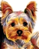 Picture of Yorkshire terrier Printed Cross Stitch Kit by Figured Art