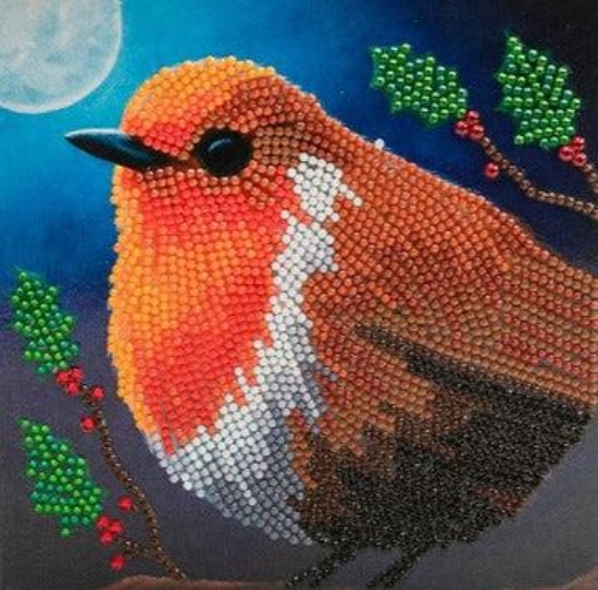 Picture of Robin, 18x18cm Crystal Art Card