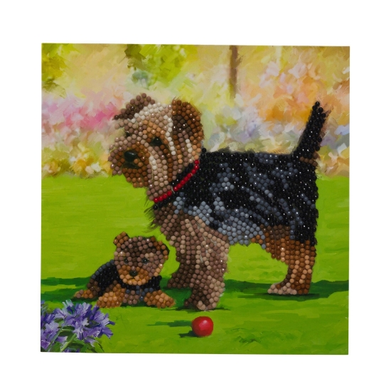 Picture of Yorkshire Terrier Dogs , 18x18cm Crystal Art Card