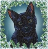 Picture of Christmas Cat , 18x18cm Crystal Art Card