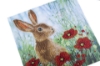 Picture of Wild Poppies and the Hare , 18x18cm Crystal Art Card