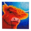 Picture of Gentle Soul Highland Cow , 18x18cm Crystal Art Card