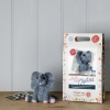 Picture of Baby Elephant Needle Felting Kit