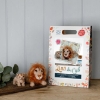 Picture of Lion & Cub Needle Felting Kit