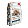 Picture of Lion & Cub Needle Felting Kit