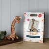 Picture of Giraffe Needle Felting Kit