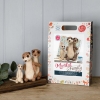 Picture of Meerkats Needle Felting Kit