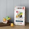 Picture of Duck & Ducklings Needle Felting Kit