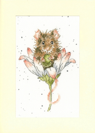 Picture of Wishes Just For You Greetings Card (Hannah Dale) Cross Stitch Kit by Bothy Threads