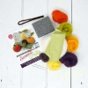 Picture of Seasonal Fruit Needle Felting Kit