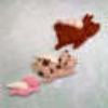 Picture of Flying Pigs Needle Felting Kit