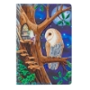 Picture of Owl and Fairy Tales 26X18CM Crystal Art Notebook