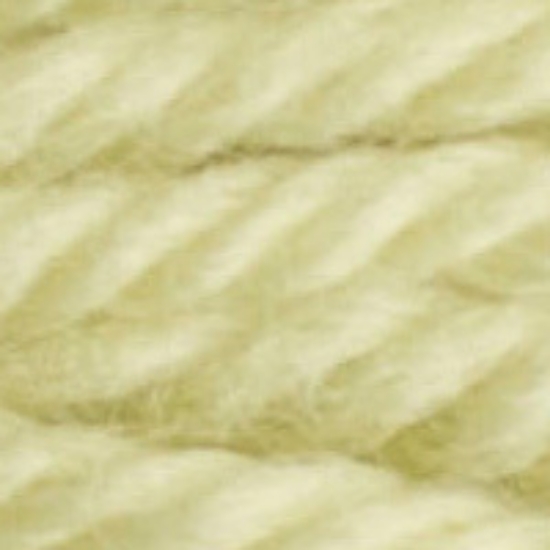 Picture of 7422 - DMC Tapestry Wool 8m Skein