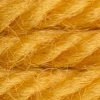 Picture of 7505 - DMC Tapestry Wool 8m Skein