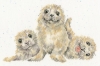 Picture of Seal of Approval - (Hannah Dale) Cross Stitch Kit by Bothy Threads