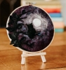 Picture of Wise Owl in a Hoop Needle Felting Kit