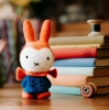 Picture of Miffy Ready for Winter Needle Felting Kit