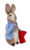 Picture of Peter Rabbit and his Pocket Handkerchief Needle Felting Kit