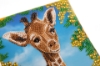 Picture of Baby Giraffe 18x18cm Crystal Art Card